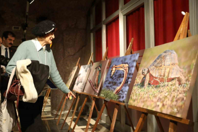 Kızılırmak Deltası Sergisi TBMM'ye Taşınıyor: Samsun'da Rekor İlgi