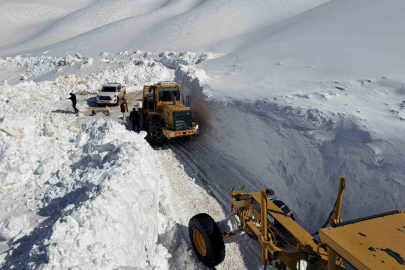 Bahçesaray'da Dev Kar Duvarları: Ekipler 3 Bin Rakımda Seferber!