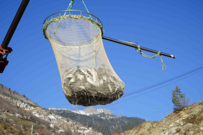 Barajlardan Dünya Sofralarına: Alabalıkta 2 Bin Tonluk Üretim