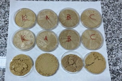 Erzincan'da Vegan Sporcular İçin Protein Tozu Geliştirildi...