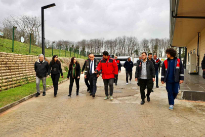 Beykoz’da Yemek Artıkları Mamaya Dönüşüyor!