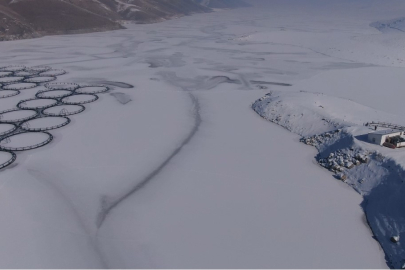 Van'da Sibirya Soğukları: Sarı Mehmet ve Zernek Barajı Tamamen Dondu!