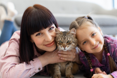 Kediler Sadece Evleri Değil, Hayat Kalitesini De Değiştiriyor