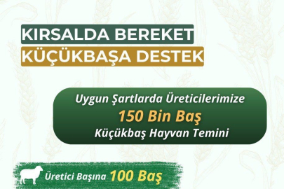 Küçükbaş Hayvan Seferberliği: Üreticiye 100 Baş Hayvan Desteği