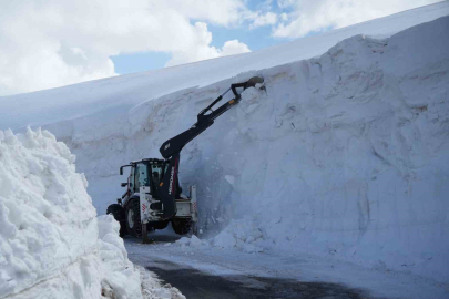 Muş'ta Kar Esaretiyle Dev Mücadele: 6 Metrelik Kar Duvarları Aşılıyor