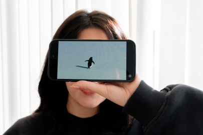 ‘Nihilist Penguen’ Aslında Modern İnsanı mı Anlatıyor?