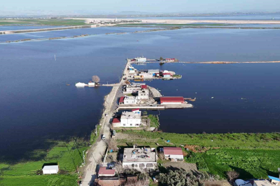 Amik Ovası'nda Kuraklık Bitti, Taşkın Başladı: 8 Evi Su Bastı!