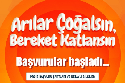 Kayseri'de Arıcılık Desteği Başladı: 750 Üreticiye Arı Kolonisi!