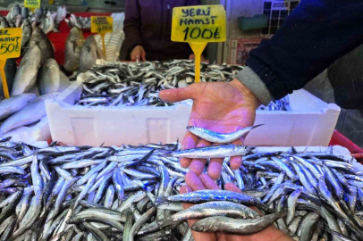 Karadeniz'de Hamsi Şöleni: 39 Tanesi 1 Kilo Geliyor, Kapış Kapış Gidiyor!