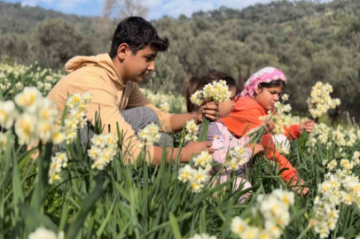 Kış Ortasında Açan Bilim Hazinesi