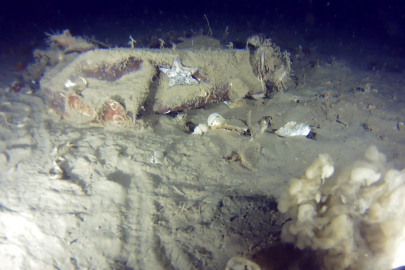 Marmara’da 51 Yıllık Sır: ‘Bursa’ Uçağında Yeni İz