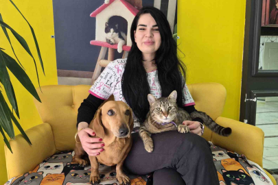 Eskişehir’in Maskotları: Kedi Patik, Arkadaşı Köpek Sosi’yi Kıskanıyor!