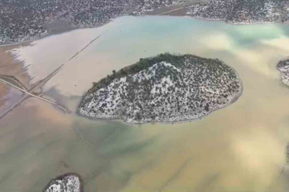 Yağışlar Sonrası Ortaya Çıkan Manzara Şaşırttı