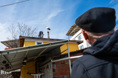 Yaren Leylek Beklenirken Nazlı Geldi: Eskikaraağaç'ta Göç Rekoru Kırıldı!