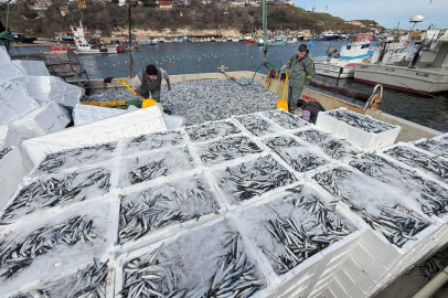 Bolluk Var Ama Balıkçı Memnun Mu?