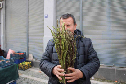 Dağlardan Sofraya: Bu Otu Bulan Bırakmıyor!
