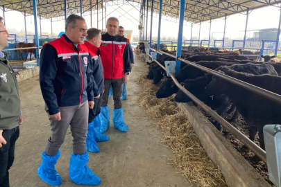 Angus Desteği Meyvelerini Veriyor: Sırada Küçükbaş Müjdesi Var!