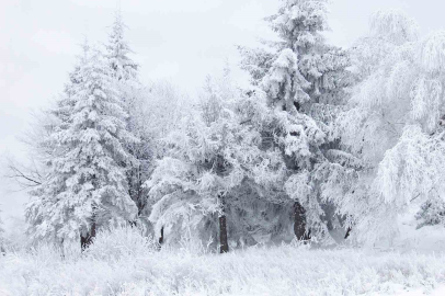 Erzincan'da Kar Alarmı: İl Tarım Müdürlüğü'nden Üreticilere Kritik Uyarı!