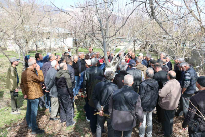Erzincan’da Üreticilere Budama Eğitimi: Verim Artışı İçin Sahaya İniliyor