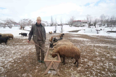 Muş'ta İki Mevsim Bir Arada: Dağda Kar Esareti, Ovada Bahar Güneşi!