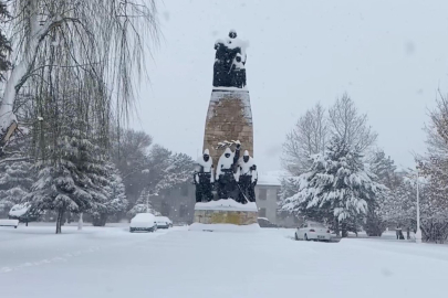 Erzincan'da Kar Esareti: Üniversite Tatil Edildi, 524 Köy Yolu Kapandı!