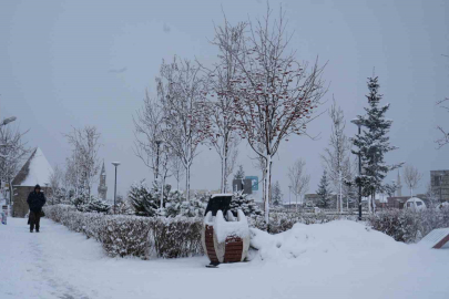 Doğu Anadolu İçin Kritik Uyarı: Erzurum ve Erzincan'da Kar Yoğunlaşıyor!