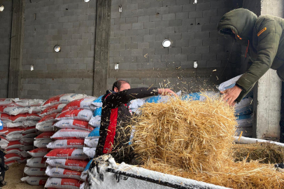 Geçitler Kapandı, Tarım Müdürlüğü Devreye Girdi