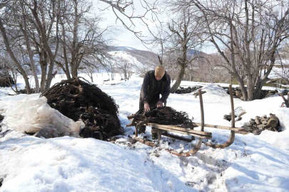 Muş’ta Bedava Yem Mucizesi: Besiciler Dağlardan Geven Taşıyor!