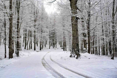 Ordu’da Kar Tatili: 12 İlçede Okullar Kapalı