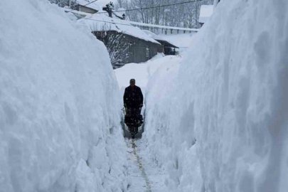 Ovacık’ta Kar Esareti: Koyungölü Köyünde Kar Boyu İnsanı Aştı!