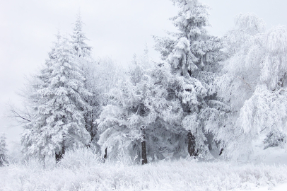 Tunceli’de Kar Tatili Kararı