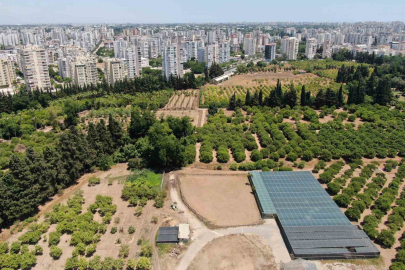 Antalya'da Tarım Toprağı Alarmı: Son 20 Yılda Bir Şehir Yok Oldu!