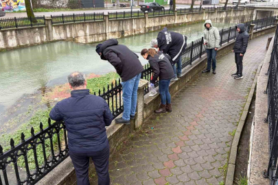 Uludere Çayı’nda Toplu Balık Ölümü
