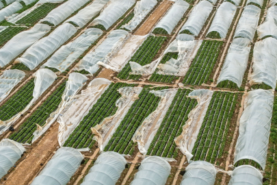 Antalya Tarımında Dev Kayıp: Sel ve Hortumun Bilançosu 3 Milyar TL!
