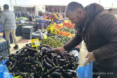 Antalya’daki olumsuz hava şartları patlıcanın tadını kaçırdı