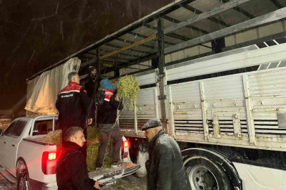 Erzurum’da Hayvanlar İçin Seferberlik: -25 Derecede Kaba Yem Desteği!