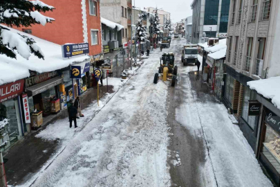 Sarıkamış’ta 600 Kamyon Kar Taşındı