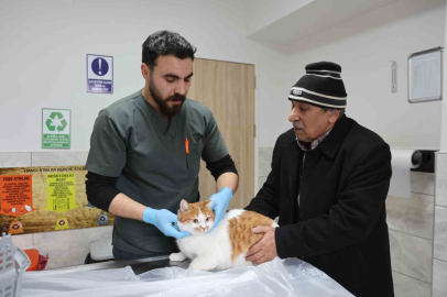 Fırat Üniversitesi Hayvan Hastanesi Yılda 9 Bin Can Kurtarıyor