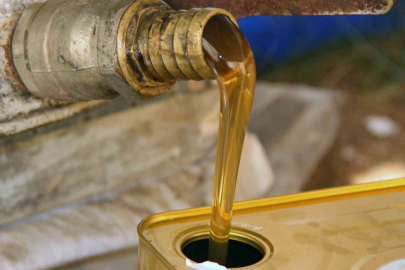 Türk Çam Balında 250 Milyon Dolarlık İhracat Hamlesi