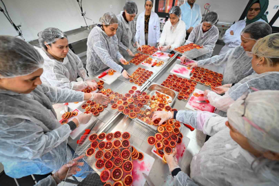 Mersin Kan Portakalı Kadınların Emeğiyle Değer Kazanıyor