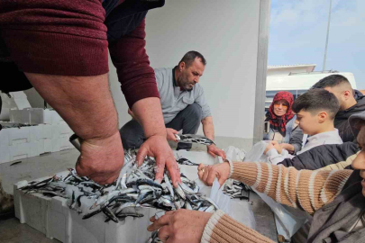 Edirne'de 1 Ton Ücretsiz Karadeniz Hamsisi 15 Dakikada Bitti