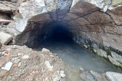 Türkiye’de bir örneği daha yok; Trabzon’da ortaya çıktı