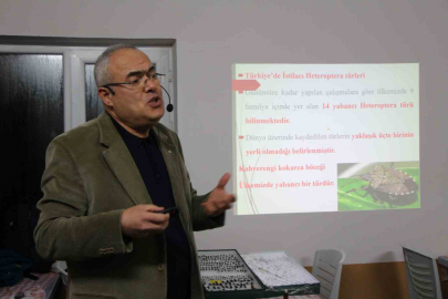 Fındığın Kabusu Kahverengi Kokarca 2030'da Bitiyor