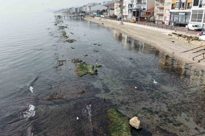 Denizin Çekilmesiyle ‘Kral Yolu’ Ortaya Çıktı