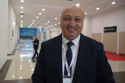 Kahverengi Kokarca İstilası Zirvede, Düşüş Başlıyor