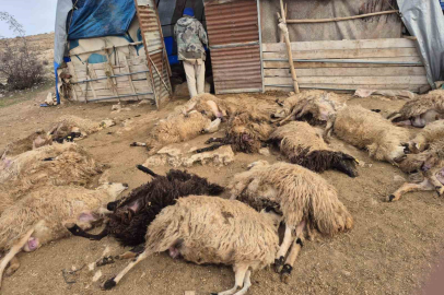 Kurdun Gölgesinde Büyük Kayıp: Sürüde İzdiham