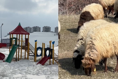 Hakkari'de İki Farklı Mevsim: Bir Yanda Kış Bir Yanda Bahar