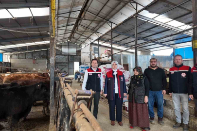 Kırmızı Et Üretiminde Yerli Hamle: Angus Yetiştiricilerine Aylık Destek