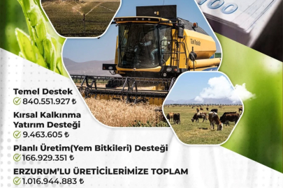 Erzurumlu Çiftçilere 1 Milyar Liralık Tarımsal Destek Hesaplara Yattı