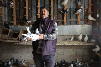 Hataylı Kuşçu Yahya'nın 45 Yıllık Güvercin Tutkusu